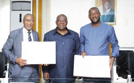 Transformation de la noix de cajou : La gestion de trois zones agro-industrielles cédées au Conseil du coton et de l'anacarde