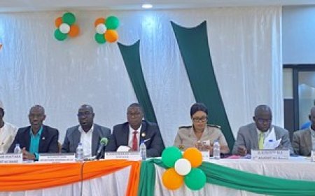 Man / 1er conseil municipal de l'année 2025 : Le maire annonce la construction d'infrastructures modernes et prospères pour sa ville