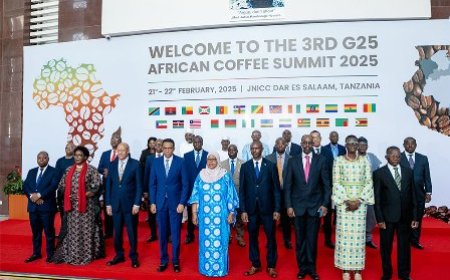 Diplomatie: La Côte d'Ivoire à l'honneur au 3ème Sommet du G25 en Tanzanie