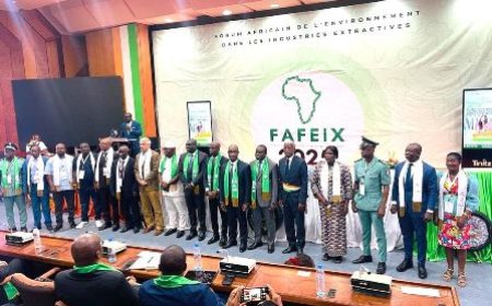 Industries extractives : les acteurs appelés à passer à l'action pour assurer à l'Afrique un environnement durable