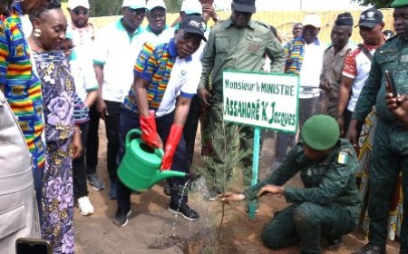 Lutte contre le Changement climatique : Le ministre Assahoré Konan Jacques lance un appel depuis Dimbokro pour une inversion de la tendance