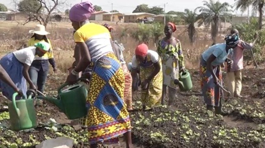 Séguéla : la mine d'or soutient les femmes et les hommes avec des projets générateurs de revenus