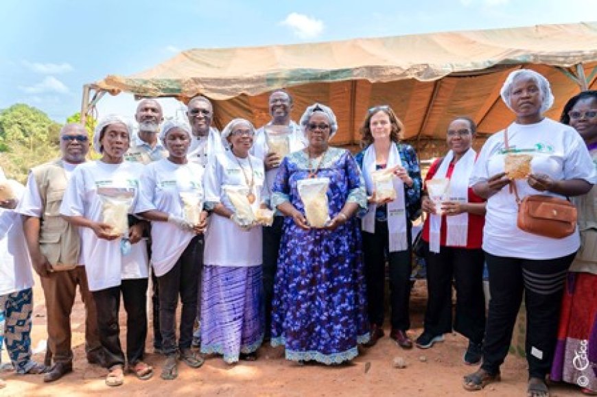 Projet d'Appui au Programme social du gouvernement : Une unité de production de manioc améliore la vie des populations de Tiassalé