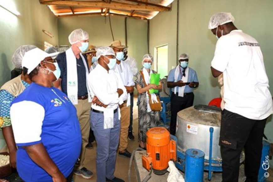 Unité semi-industrielle de transformation de manioc de N'douci : la BAD salue un instrument de promotion et d'inclusion sociale de la femme