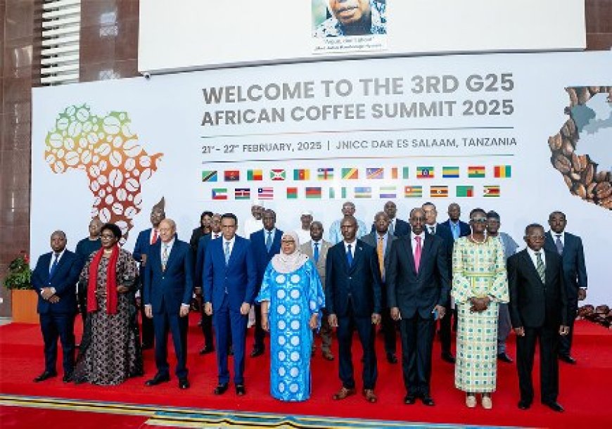 Diplomatie: La Côte d'Ivoire à l'honneur au 3ème Sommet du G25 en Tanzanie