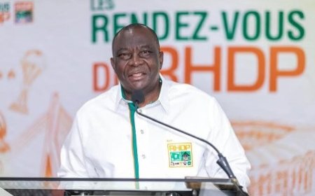 Présidentielle 2025 / Récriminations contre la CEI: Le RHDP accuse l'opposition de chercher à saboter le processus électoral