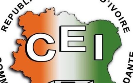 Rôle des CEI et du ministère de l'Intérieur dans l'organisation d'élections démocratiques en Afrique : que faut-il retenir ?
