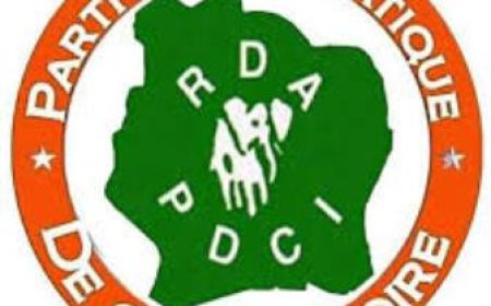 Quel est le rôle du conseil des sages au sein d'un parti politique ?