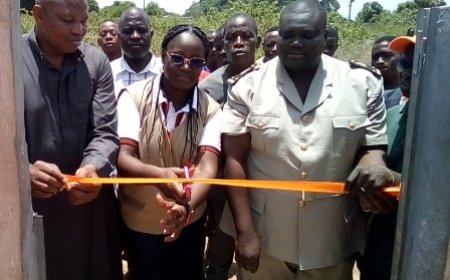 Action sociale et développement loca: L'ONG ActionSure redonne l'accès à l'eau potable à Massadougou