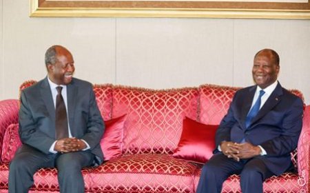 Situation politique, sécuritaire, économique et sociale : le représentant spécial du SG de l'ONU pour l'Afrique de l'Ouest et le Sahel échange avec le Président Alassane Ouattara