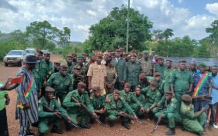 Massif forestier des Monts Nimba : une coopération exemplaire pour la conservation transfrontalière