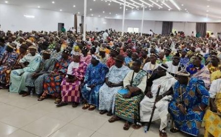 Yamoussoukro: La chefferie du V baoulé s'indigne face à la radiation du Président Tidjane Thiam sur la liste électorale