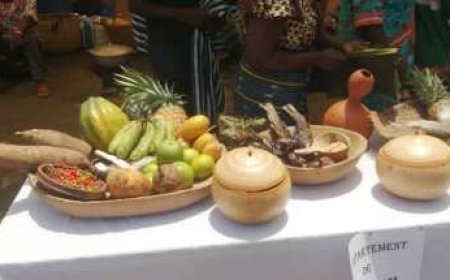 Gbêkê / Promotion du tourisme : Le Conseil régional valorise la gastronomie locale à travers un concours culinaire