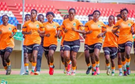 QUALIFICATIONS COUPE DU MONDE U17 : Les sélections U17  féminine et masculine ivoiriennes honorées par la FIF et l'État