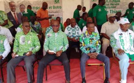 Botro : Le PDCI crie à l’injustice et mobilise pour Tidjane Thiam