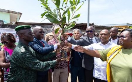 Le Député de Koumassi, Yacouba Sangaré appelle les élèves et le corps enseignant à se penché sur la préservation de l'environnement