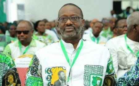 Séguéla : Les secrétaires de section du PDCi-RDA élisent Tidjane Thiam à 100%