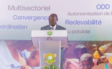 Plan national multisectoriel de nutrition 2024-2027 : financer la nutrition, c'est parier sur la santé et le capital humain, souligne le Vice-Président Tiémoko Meyliet Koné