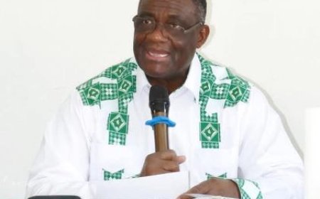 PDCI-RDA / Poste de Conseiller du Président Thiam : Pr Maurice Kakou Guikahué rend le tablier