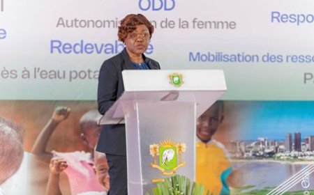 Plan national multisectoriel de nutrition 2024-2027 : la ministre Nialé Kaba décline les objectifs spécifiques