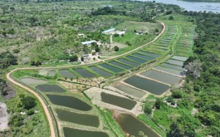 Autosuffisance en ressources halieutiques et création d’emploi : Le gouvernement multiplie les initiatives qui rassurent