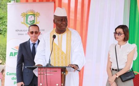 Lancement des opérations de terrain du PRESFOR : des emplois pérennes pour 228 jeunes du Bafing