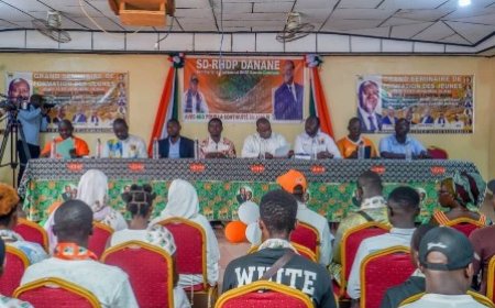 Danane / Renforcement des capacités militants du RHDP : Le secrétariat départemental met les jeunes en mission