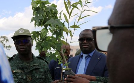 Préservation de l'environnement : Le Ministère des Eaux et Forêts offre 310 plants à l'Université de Bondoukou