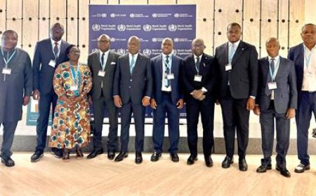 78e Assemblée mondiale de la Santé : le ministre Pierre Dimba participe à l'ouverture à Genève