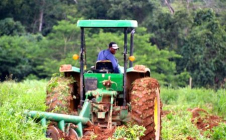 Financement du projet de pôle agro-industriel dans le Nord-est : Le Fonds international de Développement agricole accorde 45,608 milliards FCFA à la Côte d'Ivoire