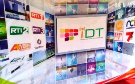 « Chroniqueurs et influenceurs à la télévision : entre compétence et notoriété »