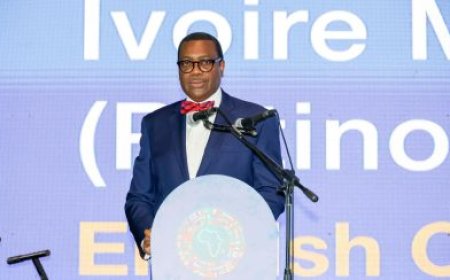 Impact de la BAD durant les dix dernières années : le président sortant Akinwumi Adesina présente les acquis