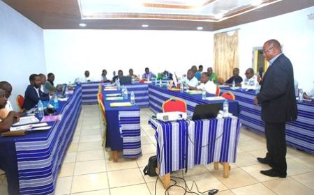 Sécurisation foncière rurale : L'AFOR renforce les capacités  d'une centaine de professionnels des médias nationaux