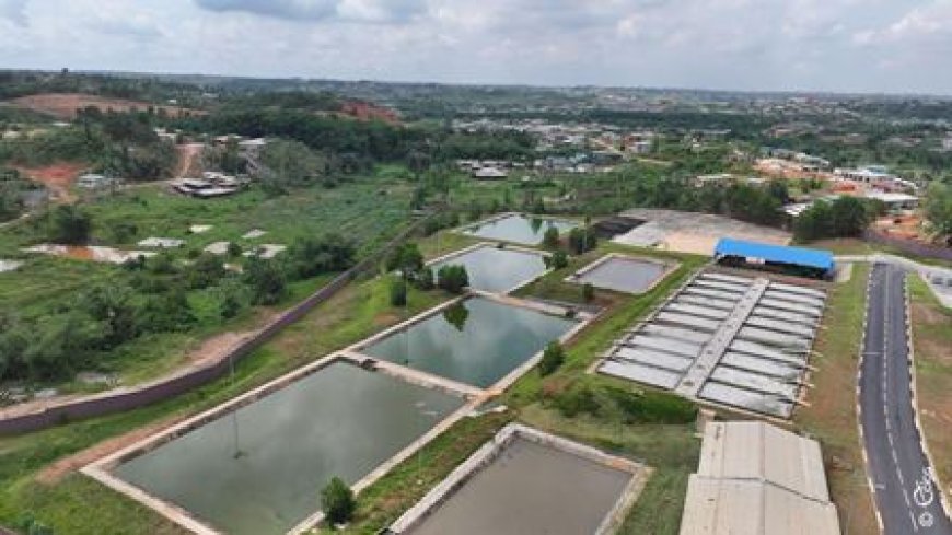 La station de traitement des boues de vidange d'Anyama-Yapokoi : l'infrastructure améliore l'assainissement urbain