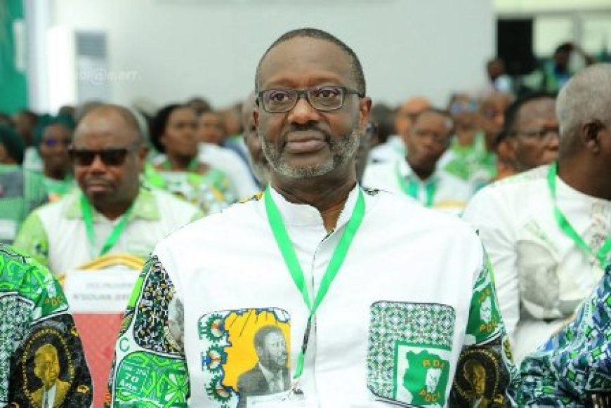 Séguéla : Les secrétaires de section du PDCi-RDA élisent Tidjane Thiam à 100%