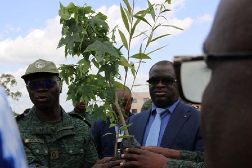 Préservation de l'environnement : Le Ministère des Eaux et Forêts offre 310 plants à l'Université de Bondoukou