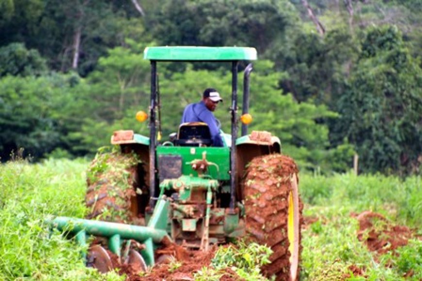 Financement du projet de pôle agro-industriel dans le Nord-est : Le Fonds international de Développement agricole accorde 45,608 milliards FCFA à la Côte d'Ivoire