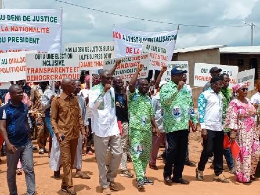Mankono : Les militants du PDCI-RDA dénoncent les manœuvres politiciennes contre Tidjane Thiam