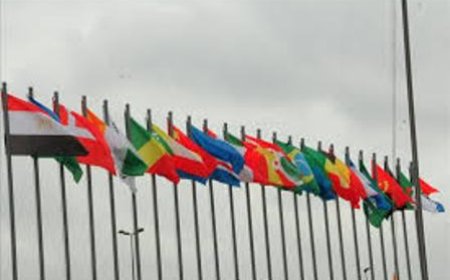 Afrique : À quand la dépolitisation de l'administration publique ?