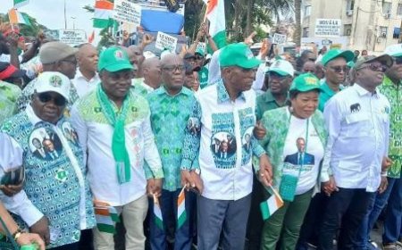 Radiation de Tidjane Thiam: Le PDCI-RDA fait pression sur la CEI