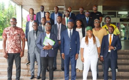 Avant-projet portant attribution de la carte professionnelle d'artiste: le ministère de la Culture consulte les faitières des acteurs du secteur