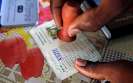 La communauté internationale face aux défis démocratiques en Afrique