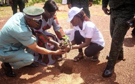 Journée mondiale de la lutte contre la désertification et la sécheresse : Plusieurs activités organisées, dont un planting d'arbres et une caravane de sensibilisation