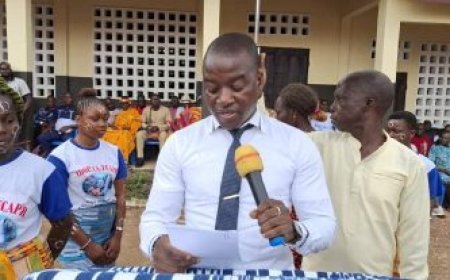 Campagne agricole 2024 : Une coopérative atteint 16,1 milliards FCFA de chiffre d’affaires à Soubré