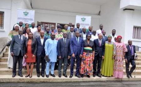 Transition vers l’économie verte : Les PME ivoiriennes invitées à saisir les opportunités