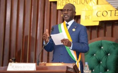 Assemblée nationale de Côte d'Ivoire : Clôture de la première session ordinaire sur une note d’espoir et de paix
