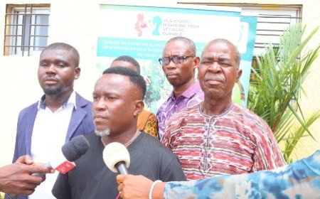 Yamoussoukro : La PICD renforce les capacités de ses coordinations régionales sur la lutte contre le travail des enfants