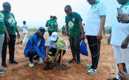 Séguéla célèbre la Journée Nationale de l’Arbre : Un arbre, un citoyen, un geste pour la paix