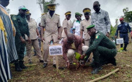 Tonkpi/Journée nationale de l’arbre 2025 : Le reboisement avance à grands pas à Man
