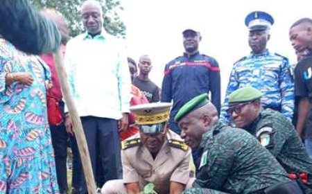 SINÉMATIALI: Journée nationale de l'arbre 2025 dans le Poro, le département